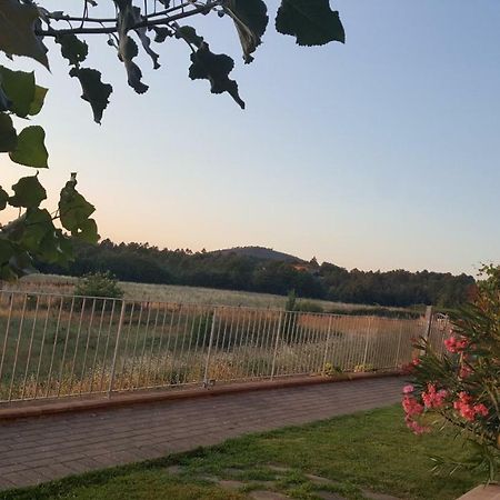 Casa La Pineta Villa Pievescola Buitenkant foto